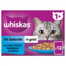 Whiskas MP pouch adult vis in gelei 12 x 85 gr